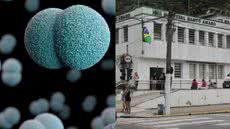 Autoridades de saúde investigam morte de bebê com suspeita de meningite em Guarujá - Imagem: Reprodução / Divulgação