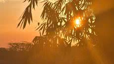 Pôr do sol no encontro dos rios Poti e Parnaíba - Foto: Arquivo Pessoal