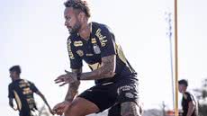 A situação crítica do Santos e a pressão para que Neymar jogue nesta sexta-feira aumentam a incerteza sobre sua saúde - Foto: Raul Baretta/ Santos FC