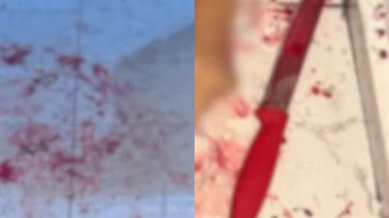 A versão inicial de suicídio foi desmascarada por evidências que contradiziam a narrativa do suspeito - Foto: g1 Santos