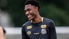 Luisão busca reerguer sua trajetória no Goiás após ser pouco utilizado no Santos durante a última temporada - Foto: Raul Baretta/ Santos FC