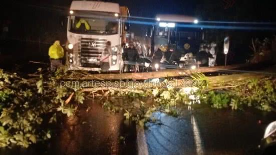 Após a queda da árvore, motoristas ainda enfrentaram reflexos do congestionamento, mesmo com a pista liberada - Foto: CCM/ Artesp