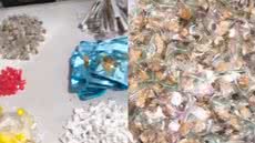 Um homem foi preso em Guarujá após tentar fugir da polícia, revelando um esquema de tráfico de drogas no bairro Vila Áurea - Foto: Divulgação/ 2º Baep