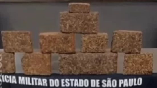 Uma abordagem policial em Santos resultou na prisão de uma mulher que tentava fugir ao notar a viatura, levando a uma descoberta surpreendente - Foto: Reprodução