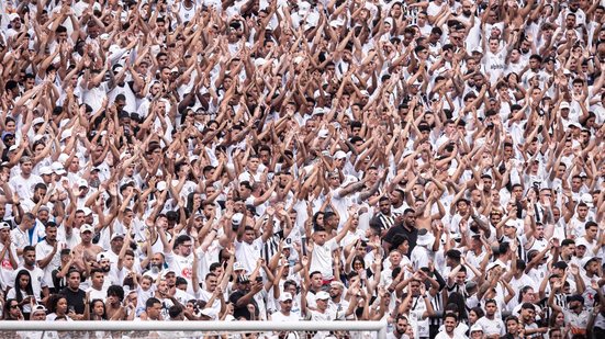 Saiba tudo sobre a partida entre Santos e Chapecoense - Foto: Raul Baretta/ Santos FC