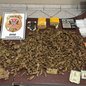 A polícia encontrou 1,4 quilo de maconha, ecstasy e Ice em operação que desmantelou um ponto de tráfico na região - Foto: Divulgação/ Polícia Civil