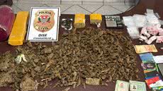 A polícia encontrou 1,4 quilo de maconha, ecstasy e Ice em operação que desmantelou um ponto de tráfico na região - Foto: Divulgação/ Polícia Civil