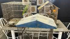 Operação policial revela dilema entre amor por animais e legislação ambiental no Brasil - Foto: Divulgação/ Polícia Civil