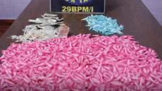 Polícia Militar apreendeu substâncias ilícitas em operação no Jardim dos Prados, Peruíbe, após denúncia anônima - Foto: Divulgação/ 29° BPMI