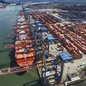 Porto de Santos movimenta 12,7 milhões de toneladas em janeiro, superando recordes anteriores - Imagem: Reprodução