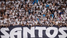 Santos e Vasco se encontram na Vila Belmiro em jogo crucial para ambos, que buscam a primeira vitória no Brasileiro - Foto: Raul Baretta/ Santos FC