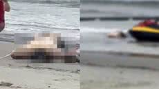Equipes de salvamento atuam na recuperação de corpo na Praia do Perequê, enquanto identidade da vítima permanece desconhecida - Foto: Reprodução
