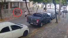 Quatro rapazes atacaram mulheres e crianças na orla de Guarujá, em um assalto audacioso sob a luz do dia - Foto: Reprodução