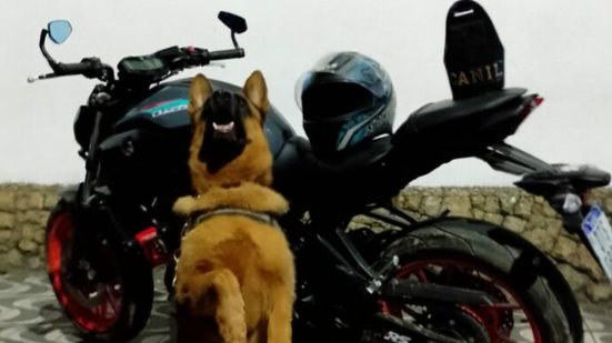 Apesar da fuga dos criminosos, a GCM priorizou a preservação do bem e a comunicação imediata com a vítima sobre a recuperação da motocicleta - Foto: Reprodução