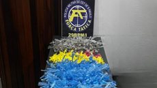 A operação da Força Tática resultou na apreensão de maconha, cocaína e lança-perfume, evidenciando um centro de distribuição - Foto: Divulgação/ 29° BPMI