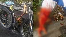 Condutor fugiu do local após a colisão sem prestar assistência; Polícia e Ecovias buscam imagens de câmeras para identificar veículo envolvido - Foto: Divulgação/ GCM