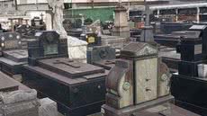 A nova lei sancionada em Santos permite que animais de estimação sejam sepultados em cemitérios municipais, reconhecendo sua importância familiar - Foto: Reprodução