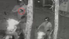 Ex-guarda municipal foi sentenciado a três anos e quatro meses de reclusão - Imagem: Reprodução