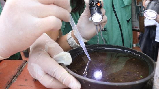 Operação em Vila Mathias resulta na eliminação de criadouros do mosquito da dengue, garantindo mais segurança para os moradores - Foto: Divulgação/ Prefeitura de Santos