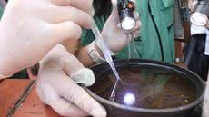 Operação em Vila Mathias resulta na eliminação de criadouros do mosquito da dengue, garantindo mais segurança para os moradores - Foto: Divulgação/ Prefeitura de Santos