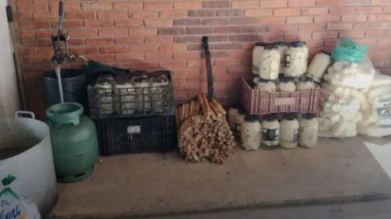 A operação da Polícia Ambiental em Sete Barras desmantelou uma central clandestina de palmito, revelando graves crimes ambientais - Foto: Reprodução