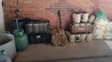 A operação da Polícia Ambiental em Sete Barras desmantelou uma central clandestina de palmito, revelando graves crimes ambientais - Foto: Reprodução