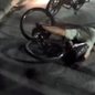 Homem de 40 anos caiu da bicicleta e sofreu traumatismo craniano leve, sendo atendido rapidamente pelo Samu - Foto: Reprodução