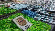 A Delegacia de Investigações Sobre Entorpecentes deflagrou a Operação Elos - Imagem: Reprodução