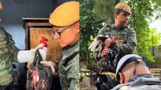 Força-tarefa da Polícia Militar Ambiental resgata 53 galos em condições extremas de maus-tratos - Imagem: Reprodução