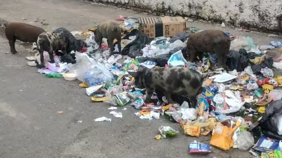 Com a nova classificação, pequenos e grandes geradores de lixo terão responsabilidades distintas na coleta e destinação - Foto: Gil Ribeiro