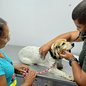 Prefeitura de Guarujá implementa ônibus adaptado para atendimento veterinário durante reformas no canil - Foto: Divulgação/ Prefeitura de Guarujá