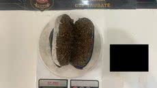 O incidente ocorreu na Penitenciária 1 de São Vicente, onde a visitante se negou a passar por exames após alerta do escâner corporal - Foto: Divulgação/ Polícia Civil