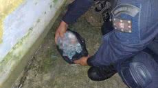 Durante ronda, Guarda Civil Municipal encontrou drogas escondidas em trailer abandonado no bairro Quarentenário - Foto: Divulgação/ Prefeitura de São Vicente