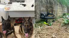 Durante a Operação Contenção, a Polícia Civil desarticulou um importante ponto de apoio do crime organizado no morro do Monte Serrat - Foto: Divulgação/ Polícia Militar