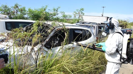 Com a Avaliação de Densidade Larvária, Praia Grande mapeia áreas de risco para direcionar ações de nebulização de forma eficaz - Foto: Divulgação/ Prefeitura de Praia Grande
