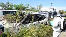 Com a Avaliação de Densidade Larvária, Praia Grande mapeia áreas de risco para direcionar ações de nebulização de forma eficaz - Foto: Divulgação/ Prefeitura de Praia Grande