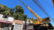 Equipes de zeladoria atuam na remoção de árvore caída e manutenção urbana após temporais em São Vicente - Foto: Divulgação/ Prefeitura de São Vicente