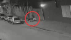 Viviane de Jesus, de 44 anos, foi morta em Itanhaém após briga que terminou em tragédia com um taco de beisebol - Foto: Reprodução