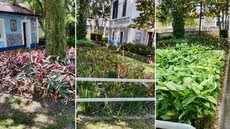 Equipes de manutenção realizam melhorias para manter a vegetação saudável e o ambiente agradável para os visitantes do Jardim Botânico - Foto: Divulgação/ Prefeitura de Santos