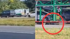 A Polícia Civil investiga o caso como homicídio culposo, analisando as circunstâncias que levaram ao trágico atropelamento do ciclista - Foto: Reprodução