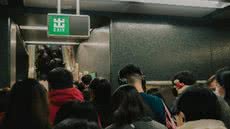 Analisando a relação entre superpopulação e a falta de escolha em ambientes urbanos e suas implicações sociais - Foto: Reprodução