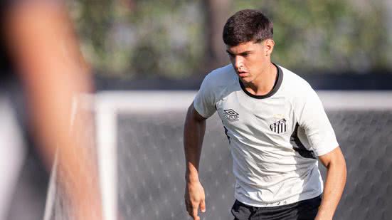 Foto: Raul Baretta/ Santos FC