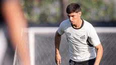 Foto: Raul Baretta/ Santos FC