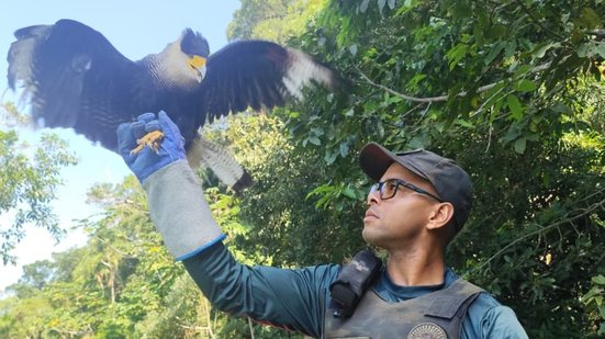 Colaboração entre Guarujá e Santos é fundamental para o sucesso do manejo de animais silvestres na Baixada Santista - Foto: Divulgação/ Prefeitura de Guarujá