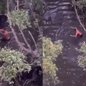 Uso de drones foi crucial para a captura de traficante em Cubatão - Imagem: Reprodução