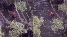 Uso de drones foi crucial para a captura de traficante em Cubatão - Imagem: Reprodução