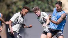 Santos busca primeira vitória na Sul-Americana - Foto: Raul Baretta/ Santos FC