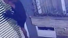 Câmera flagra invasão e furto em comércio no bairro Aparecida - Imagem: Reprodução