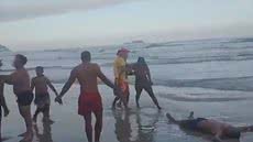 Um guarda-vidas de 20 anos foi agredido por turistas após desentendimento sobre salvamento - Imagem: Reprodução