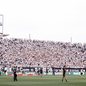Santos vai jogar pela segunda vez na Neo Química neste ano - Foto: Raul Baretta/ Santos FC
